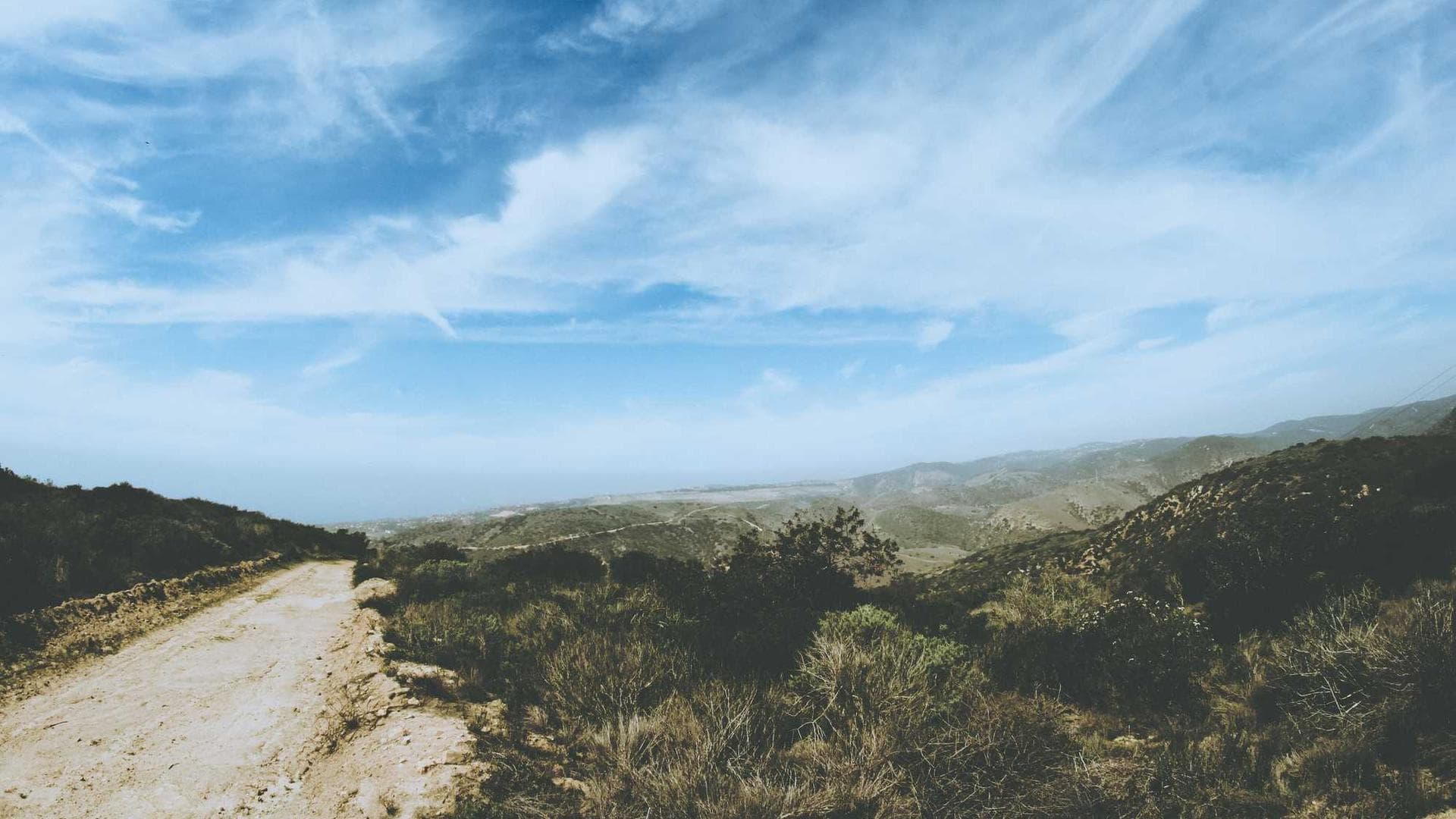 Our team working together